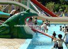 Funny Cantoon Flog Slide Kids Water Slides for Amusement Park Equipment