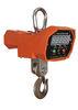 Durable Electronic Crane Weight Scale 20T With Large Steel Hook