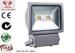 100W Waterproof Outdoor Led Flood lights 9600 lm High Lumen 3000k - 6500k Warm White
