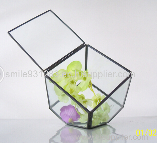 Wholesale Geometric Glass Terrarium For Home Decoration