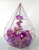 Wholesale geometric glass Terrarium air Plant glass vase for Home Decoration
