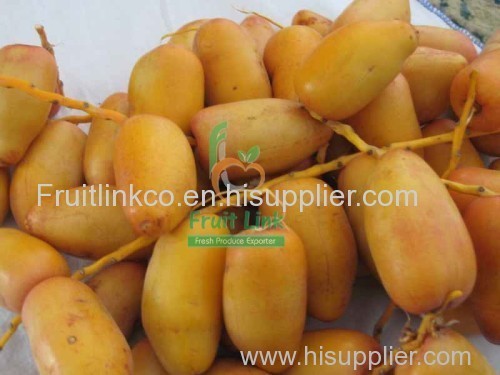 Egyptian fresh samani dates by fruit link