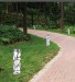 Aluminum lawn lamp bollard