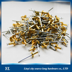 Hot sales round head flat Aluminum steel Blind Rivet in linyi