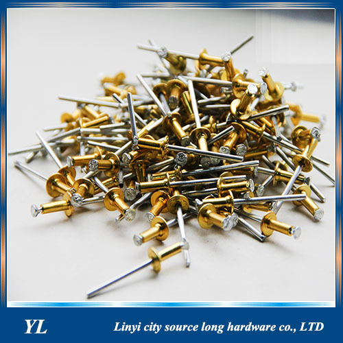 DIY good quality and competitive stainelss steel and aluminum steel blind rivet