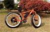 Orange Aluminum Alloy 6061 T6 e Mountain Bike Male / Womens Electric Bikes