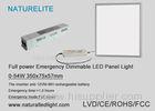 Full Power Emergency Dimmable LED Panel Lights 0 - 54 W DC 20~60V