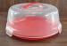 Custom Weather Resistance PVC Blister Film Hard PVC Sheet With No Bubbles