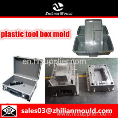 custom OEM plastic tool box mould with high precision in China