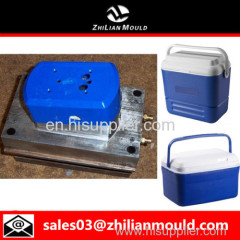 custom OEM plastic cooler box mould with high precision in China