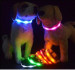 New Products Modern Colorful LED Dog Collar