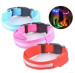 New Products Modern Colorful LED Dog Collar