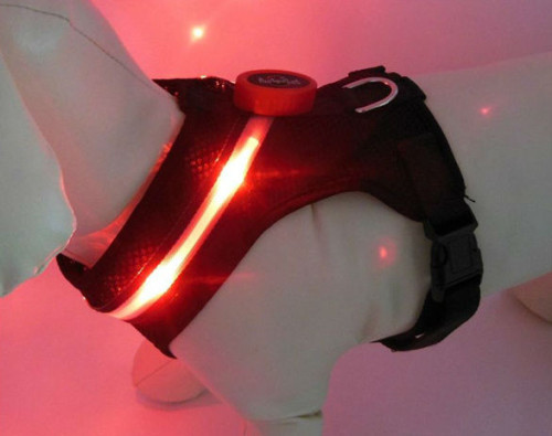 led glowing breathable pet vest cool pet harness for running