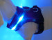 led glowing breathable pet vest cool pet harness for running