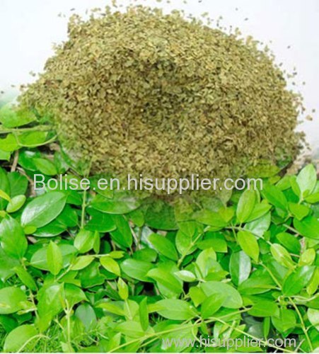 What is Gymnema Sylvestre extract
