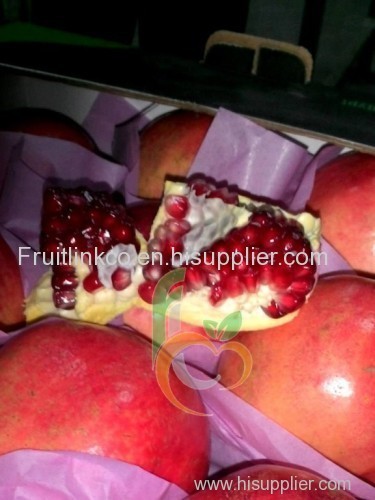 Egyptian fresh pomegranates by fruit link