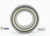 High Precision Stainless Deep Groove Ball Bearing 6005 ZZ With Double Shield