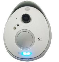 Mini Wi-Fi IP Egg Video Door Bell