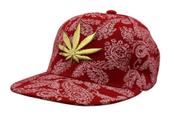 Red Hip Hop Hats