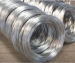 Electro/Hot Dipped Galvanized Steel Wire Factory