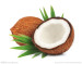 100% Natural Coconut Powder/ Instant Coconut Juice Powder/ Spray Dried Coconut Powder