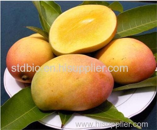 100% Natural Mango Powder/ Instant Mango Juice Powder/ Spray Dried Mango Powder