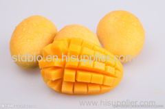 100% Natural Mango Powder/ Instant Mango Juice Powder/ Spray Dried Mango Powder