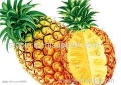 100% Natural Pineapple Powder/ Instant Pineapple Juice Powder/ Spray Dried Pineapple Powder