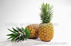 100% Natural Pineapple Powder/ Instant Pineapple Juice Powder/ Spray Dried Pineapple Powder