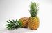 100% Natural Pineapple Powder/ Instant Pineapple Juice Powder/ Spray Dried Pineapple Powder