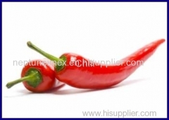 chili powder india exporter