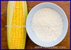 Corn starch exporter india