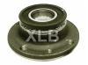 wheel hub bearing BAF0040