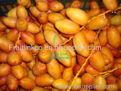 Fresh samani dates from egypt by fruit link