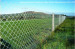 Hot sales chain link fence( pvc coated and galvanized)