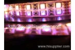 Epister Chips 120LED/m 5050 15mm PCB RGBW Strips IP65 Silicone Glue Waterproof