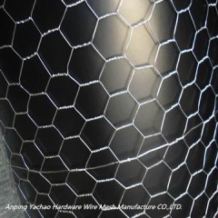 High quality Hexagonal Chicken Wire Netting