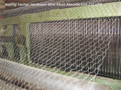 High quality Hexagonal Chicken Wire Netting