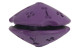 Speedypet Brand Purple Color Pet Treated Rubber Toy