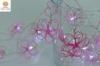 Led 3V Low Powder Christmas Decoration Lights Metal Finished Flower Figure