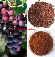 What is Grape seeds Extract
