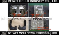 Top quality plastic auto fender mould factory in Zhejiang China