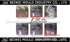 OEM Custom Injection Plastic Fridge Drawer Mould