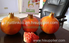 Egyptian fresh pomegranates by fruit link