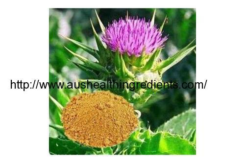 What is Milk Thistle Extract