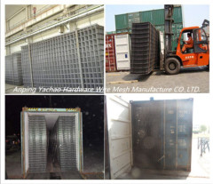 Hot sales concrete reinforcing mesh (China factory)