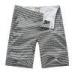 Striped Mens Summer Shorts