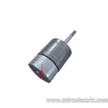 Gear Reduction Electric Motor