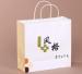 Factory supply high grade clothing paper Gift Bag