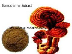 What is Ganoderma lucidum Extract?